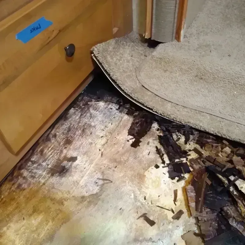 Best Wood Floor Water Damage Service in Laymantown, VA